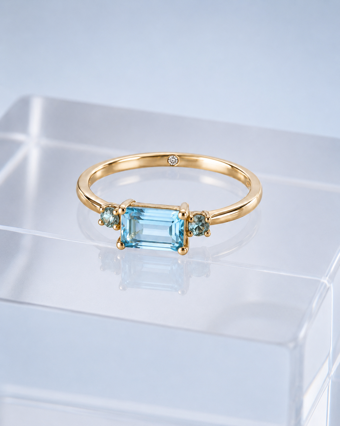 Anillo MAR Y SAL