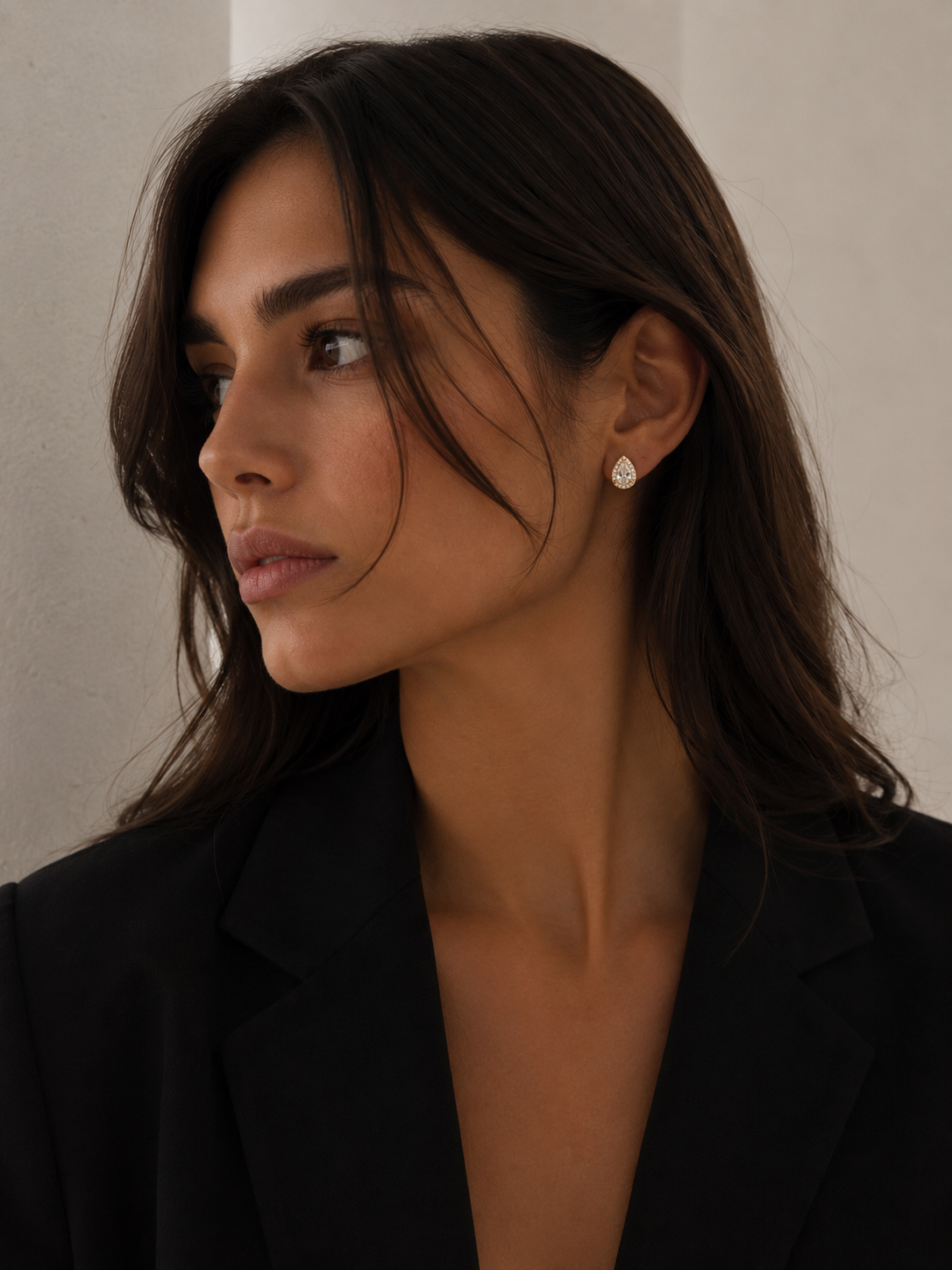 Aretes CERCANÍA