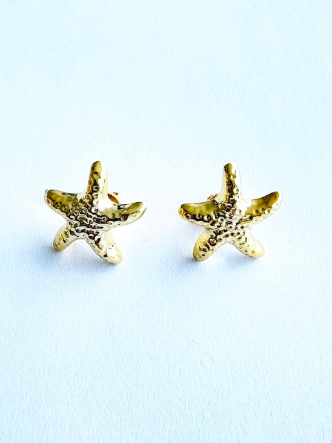 Estrellas de mar
