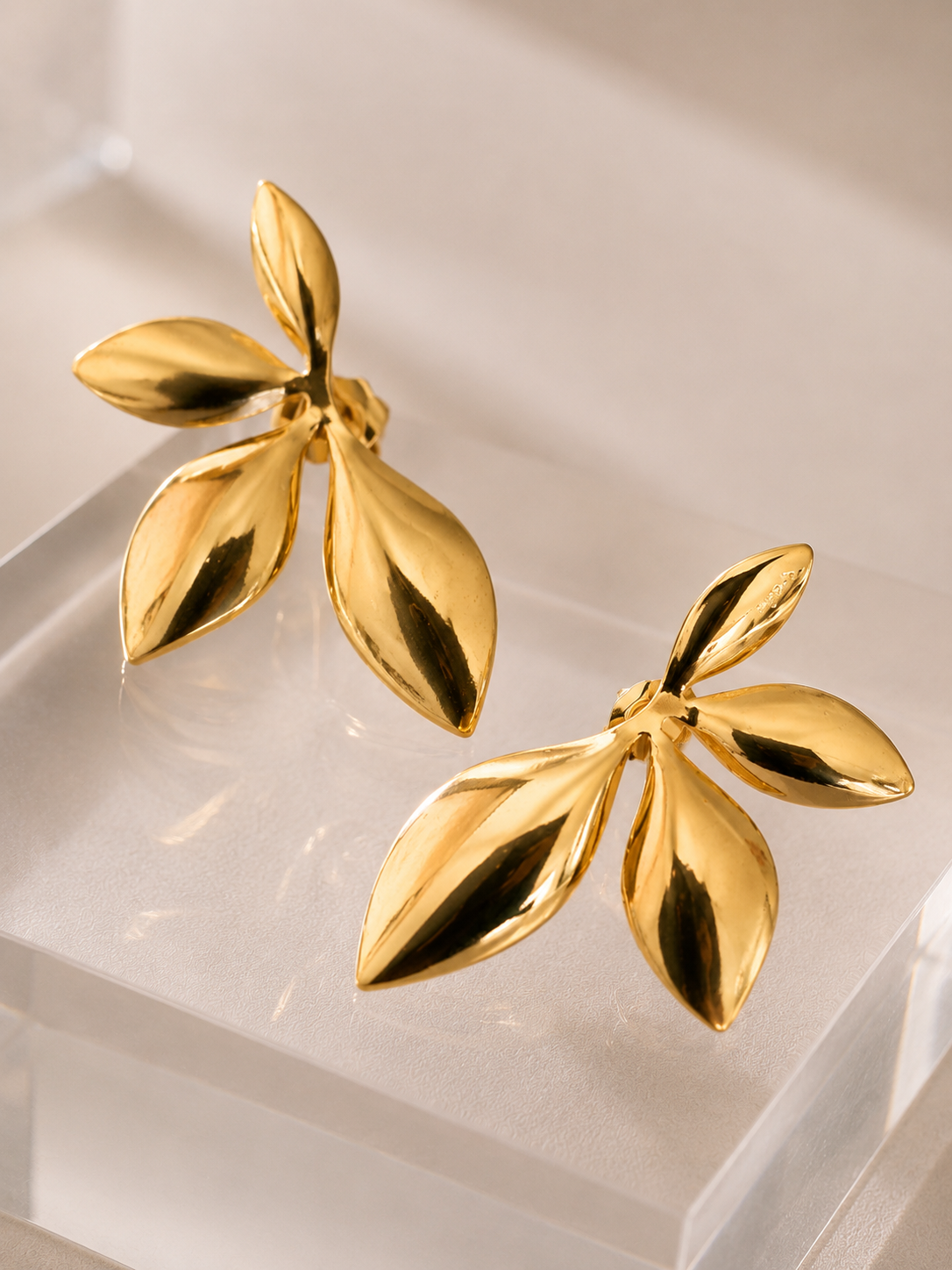 Aretes GESTO