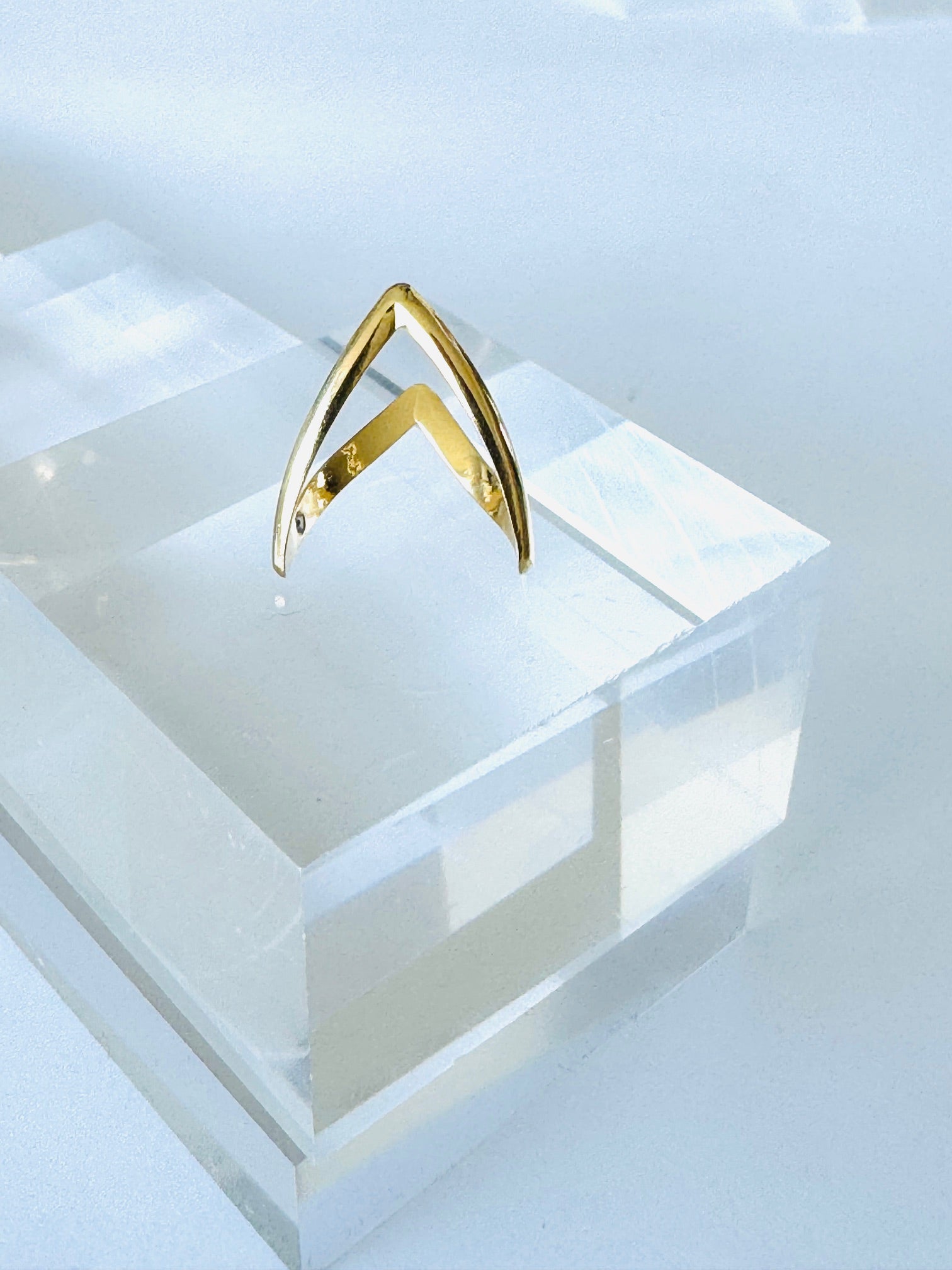 Anillo Tucan