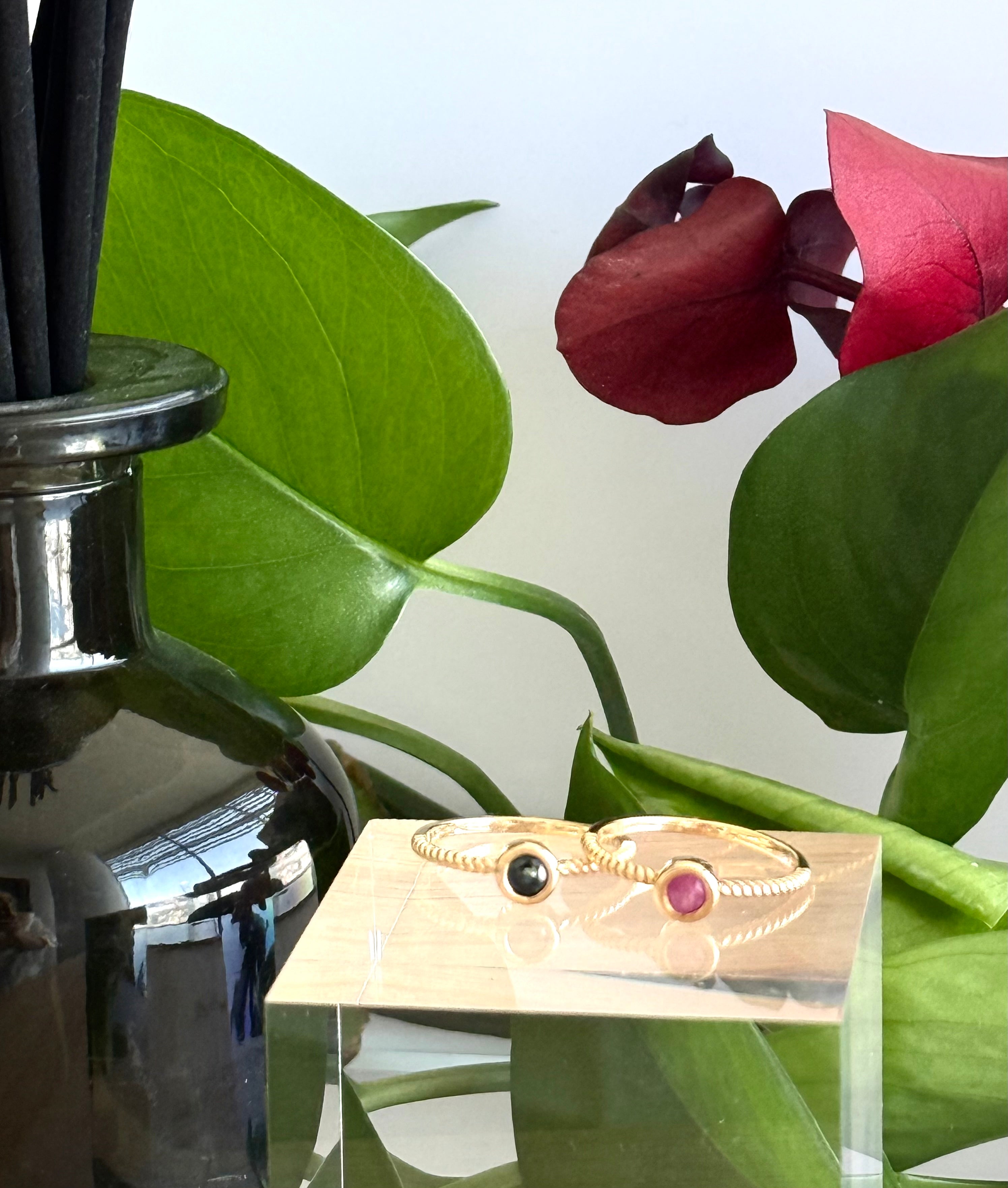 ANILLO VENUS